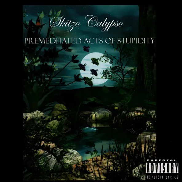 Premeditated Acts of Stupidity by Skitzo Calypso